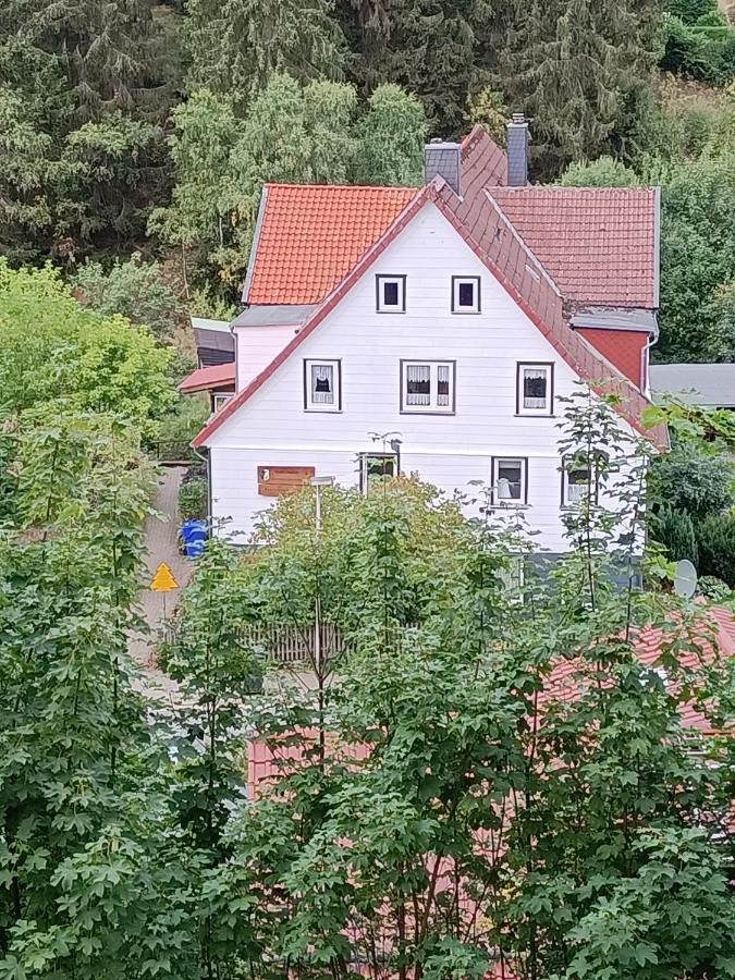 Ferienwohnungen Untermuehle, Rothenbergerstr. 12 알테나우 외부 사진